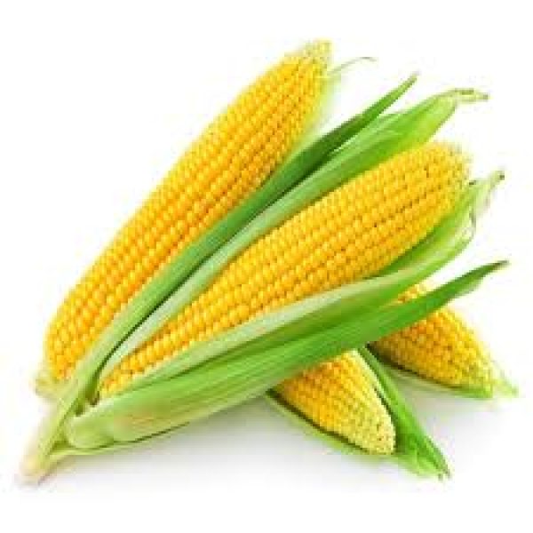 corn--oo